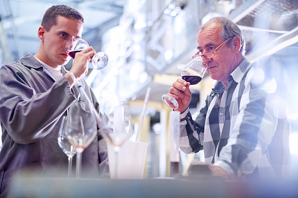 Level 3 Award in Wines